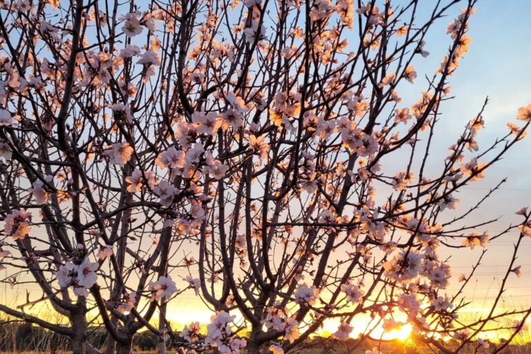 Autocuidado y autoconocimiento | Terapias Especializadas en Terrassa y Online