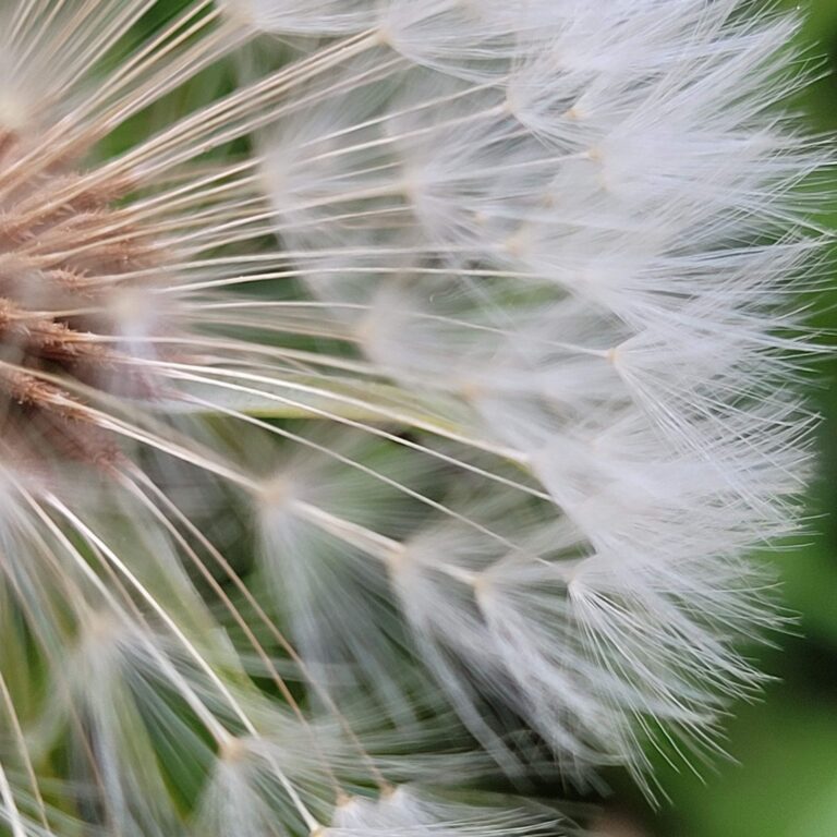 Terapias Especializadas en Terrassa y Online