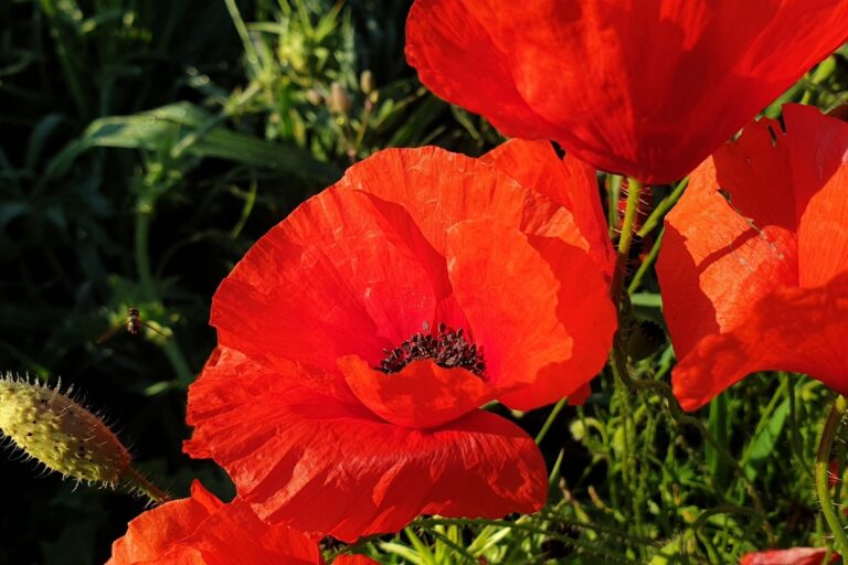 Relaciones y vínculos: conflictos, rupturas, infidelidades | Terapias Especializadas en Terrassa y Online