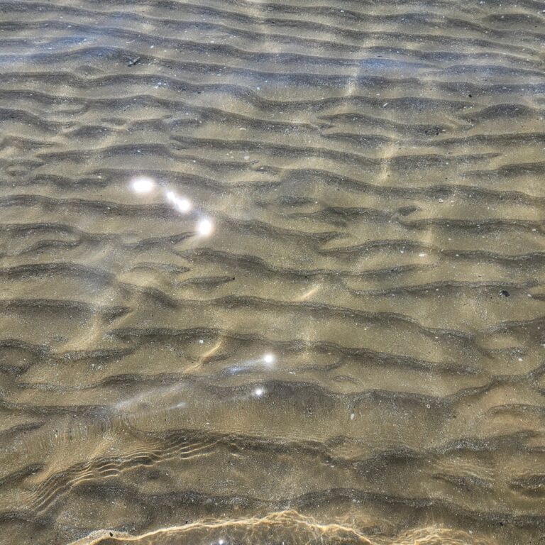 Servicios de Psicología en Terrassa y Online