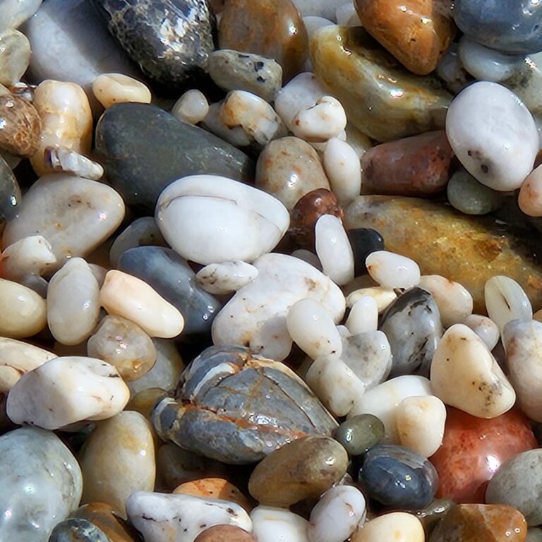 Servicios de Psicología en Terrassa y Online