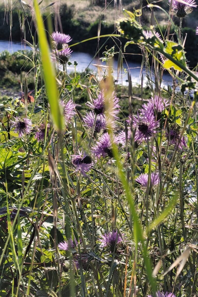 Autocuidado y autoconocimiento | Terapias Especializadas en Terrassa y Online