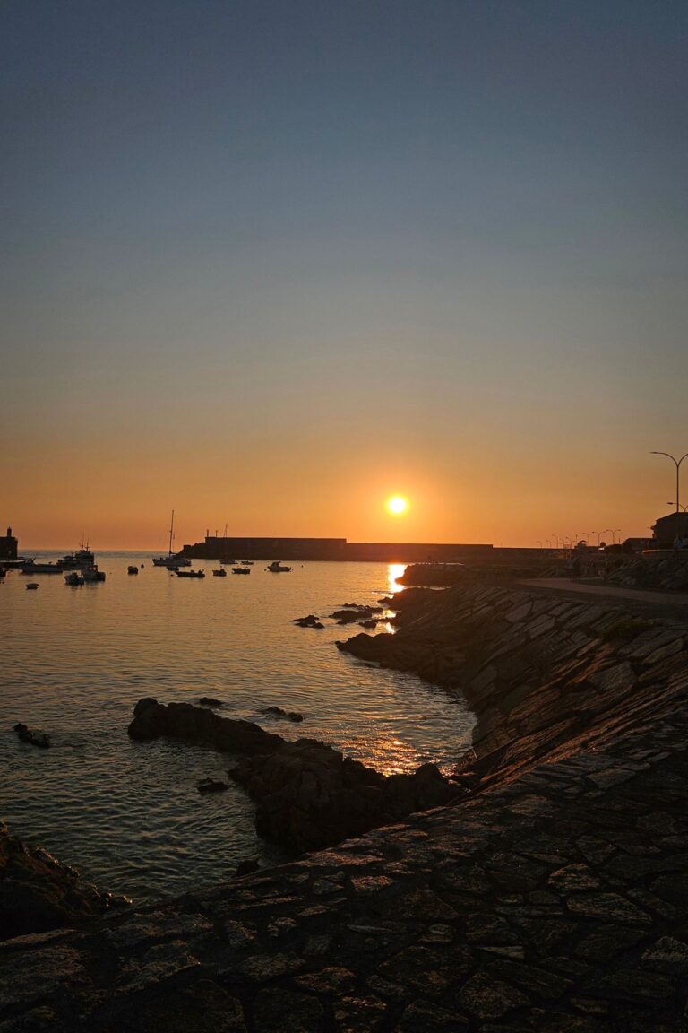 Duelos y pérdidas | Terapias Especializadas en Terrassa y Online