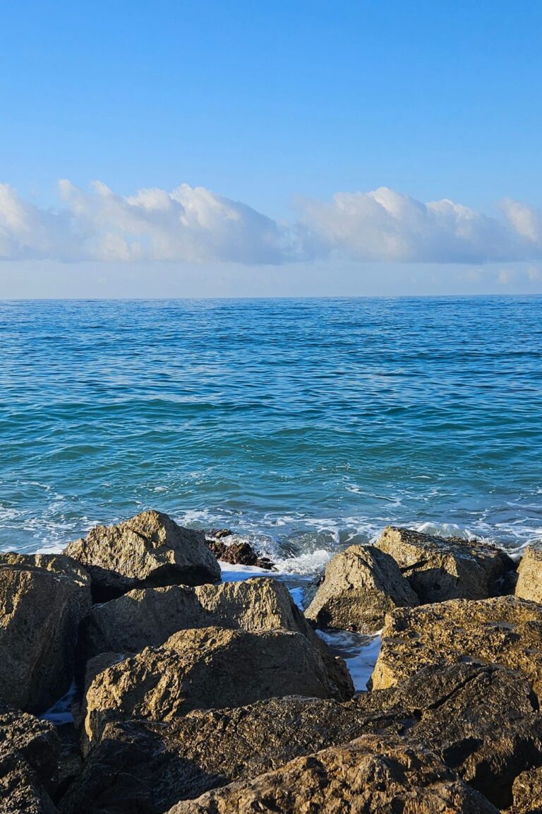 Regulación emocional, autoestima y bloqueos emocionales | Terapias Especializadas en Terrassa y Online