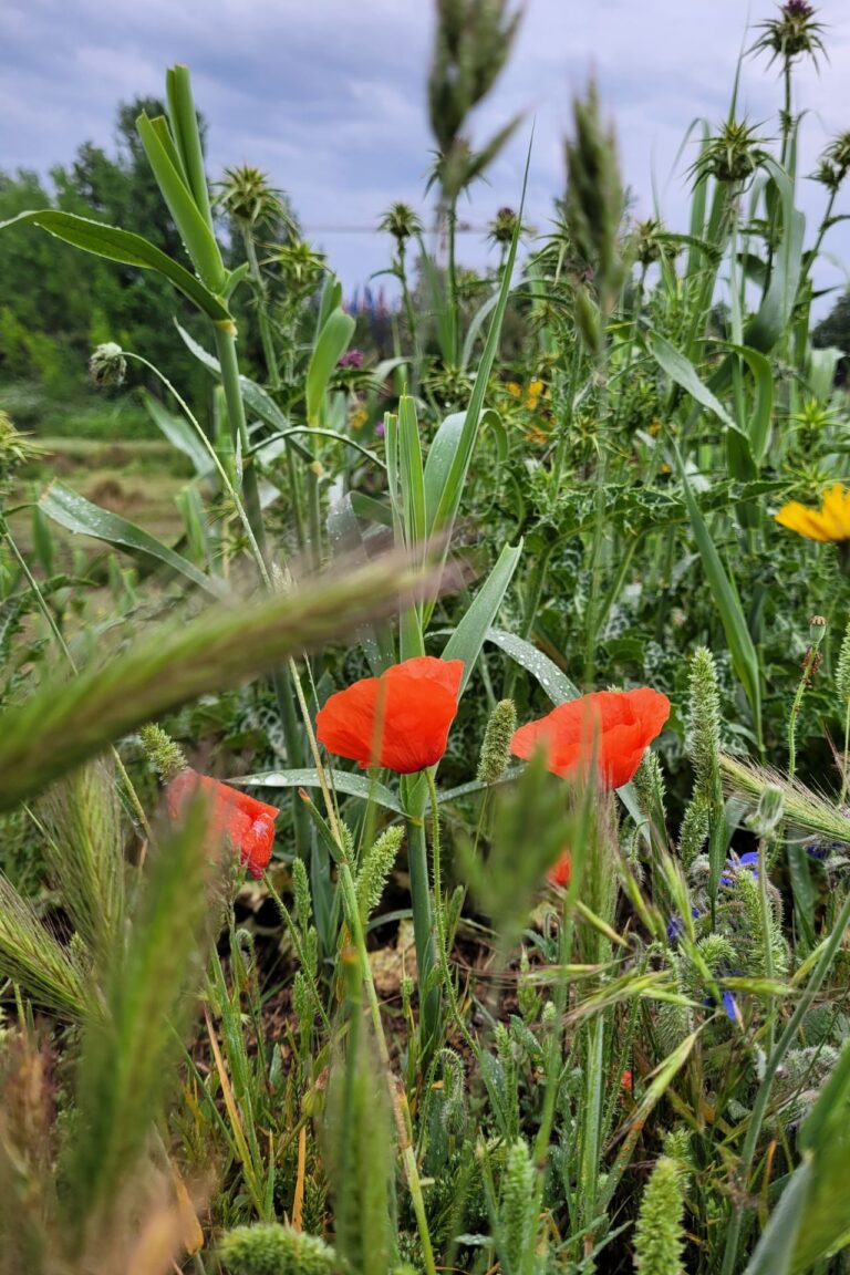 Relaciones y vínculos: conflictos, rupturas, infidelidades | Terapias Especializadas en Terrassa y Online