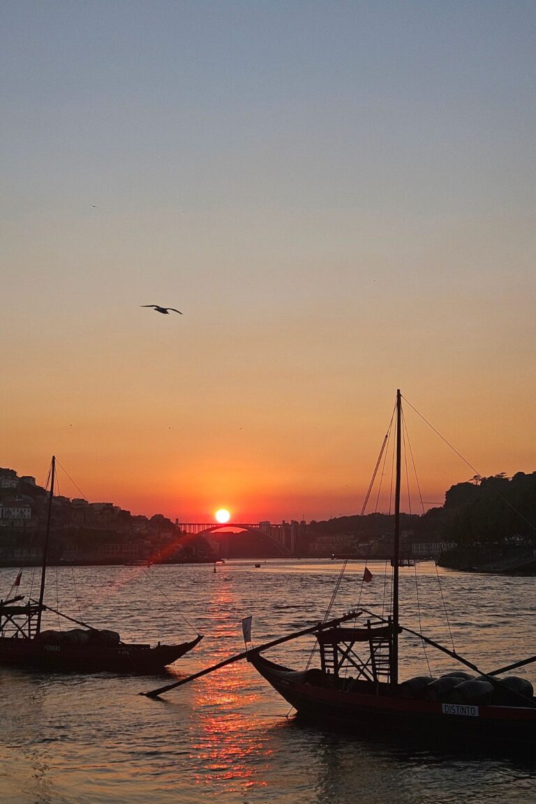 Trastornos afectivos y del estado de ánimo | Terapias Especializadas en Terrassa y Online