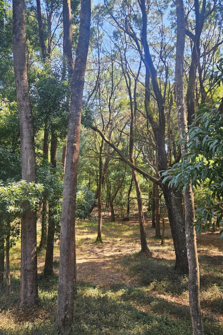 Trastornos de ansiedad | Terapias Especializadas en Terrassa y Online